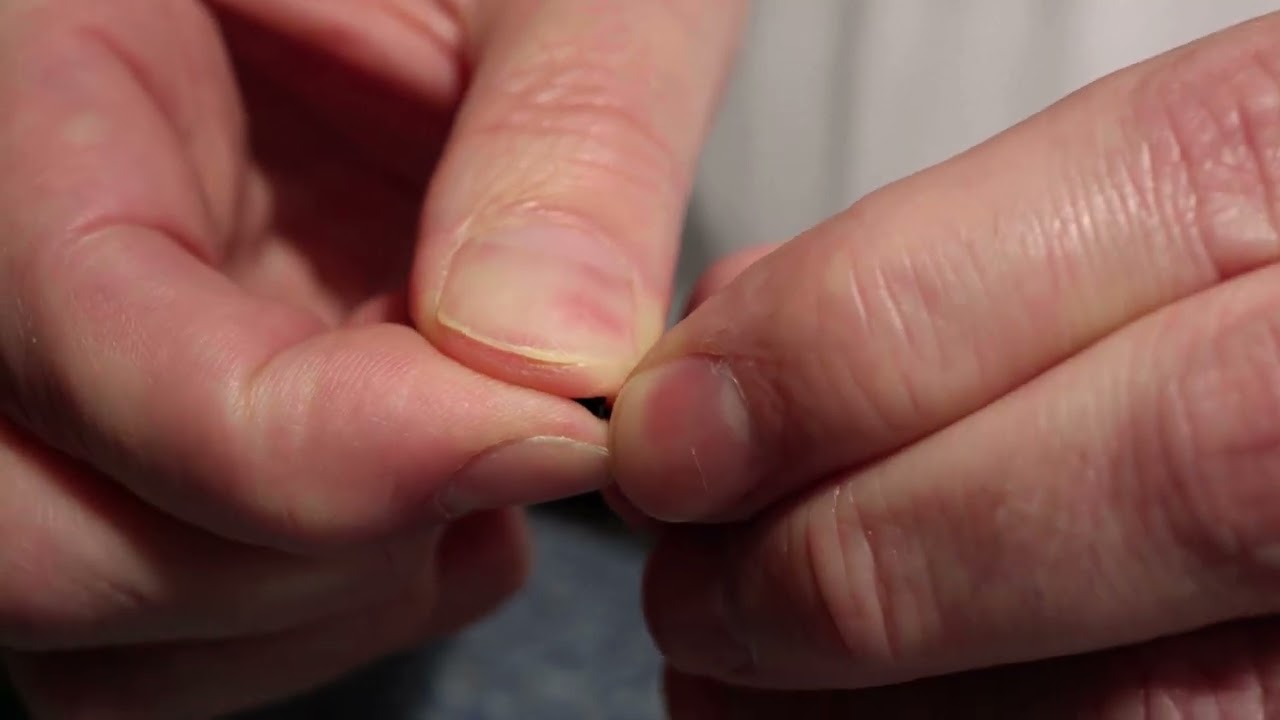 Rokuhan Z-Shorty N700S Shinkansen