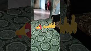 In My Live Mama Hilman