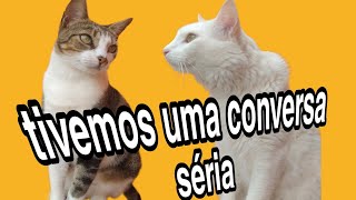 Tivemos uma conversa séria by Floquinho o Gato 488 views 1 year ago 2 minutes, 44 seconds