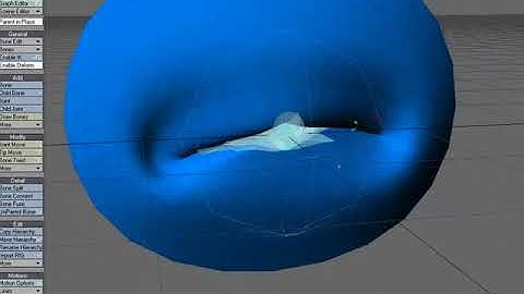 LightWave 9 Face Rig using Joints