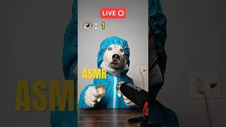 Don't go 🥹 #shorts #shortvideo #asmr #dog