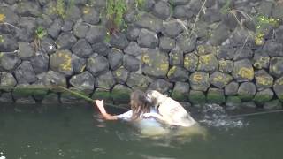 Video <span aria-label=
