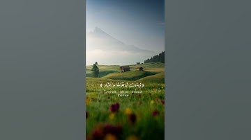 قرآن كريم ☘️تلاوة من سورة المائدة ☘️ القارئ حمزة بوديب