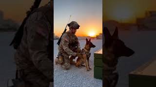 There is no bond quite like a soldier and their K9. #k9training