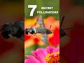 Beyond Bees – 7 Surprising Pollinators in Your Garden 🦋🌙 #gardening