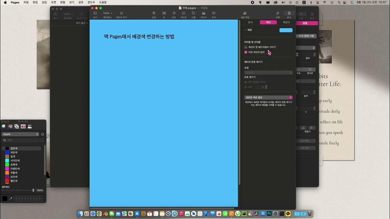 아이맥 Pages 에서 배경색(바탕색) 변경(바꾸는)하는 방법(how to change background color in