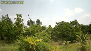 UBox 2026 04 17 110202 3 149