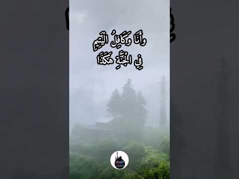 فضل كافل اليتيم