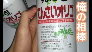 北海道てんさいオリゴ糖　コスパ最高甘味料！白砂糖は情弱だよ