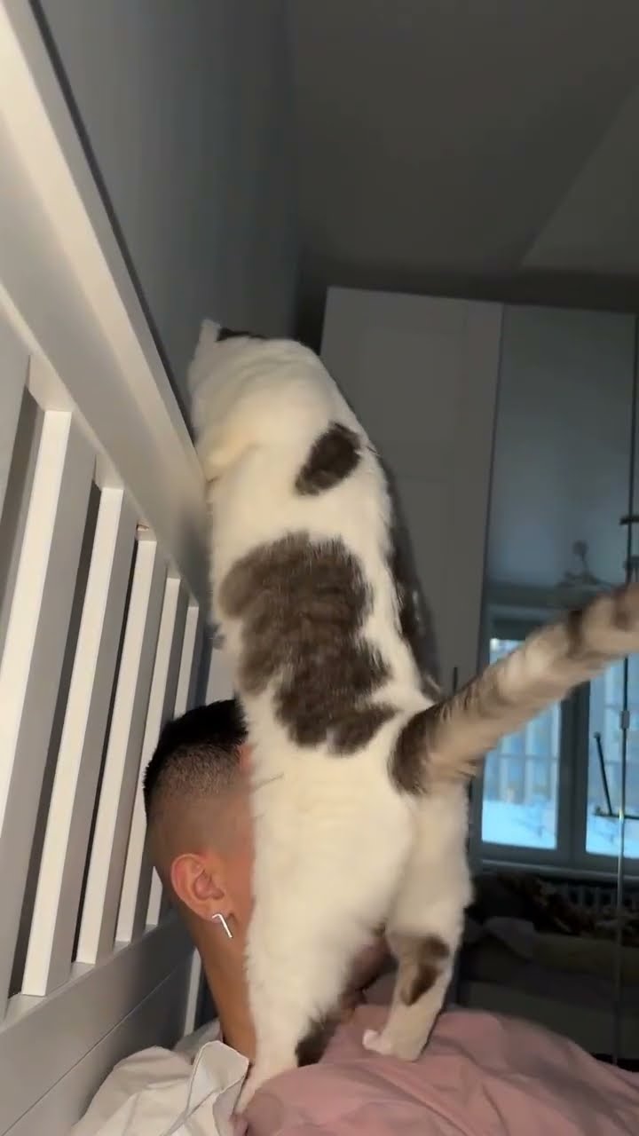Funny chat ? ? ? ? ? ? ? ? ? ? ? ? ? ?