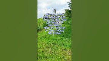 Đất 1/Cây Gõ,  xã An Phú,  dt  1304m2 chỉ 2 tỷ 800 (L416) #đất_củ_chi