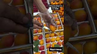 Orik Kochati Sotuvda +998906337363 #rek #garden #sorts #fun #automobile