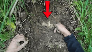 The WEIRD Thing I Uncovered with My Metal Detector