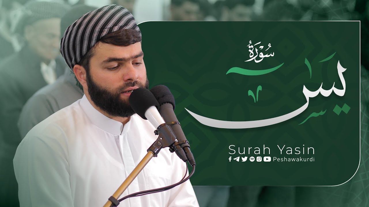 تلاوة مريحة و هادية في سورة يس كاملة بصوت بيشةوا قادر الكردي