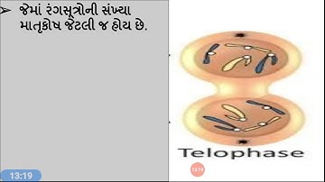 CC BOT 211(Lec 37)TBP