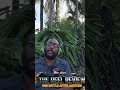 Teyana Taylor's Betrayal: Robbery, Witness Protection &amp; Sean Penn's Revenge #shorts