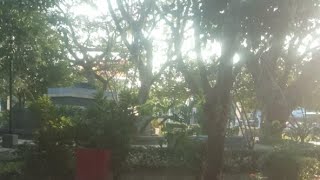 Edisi Nyeger Nglitik pagi Jeruksing Ponorogo