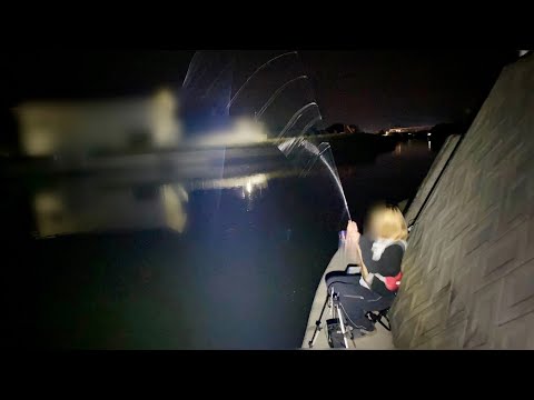 エサ代0円で高級魚が釣れる、この釣りがやめられない