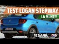 TEST: Dacia Logan Stepway 0.9 TCe 90 CP