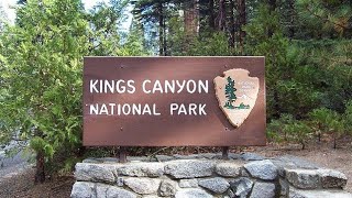 Kings Canyon (General Grant Tree)