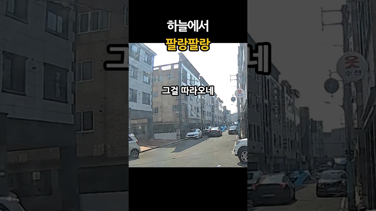 하늘에서 팔랑팔랑 날아온 이사박스