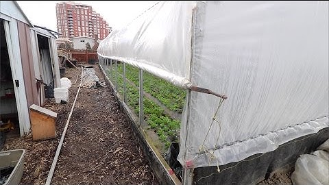 How to Create DIY Roll Up Sides for Ultimate Ventilation!