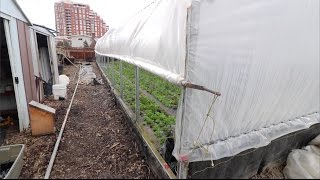 DIY Roll Up Sides For Greenhouses