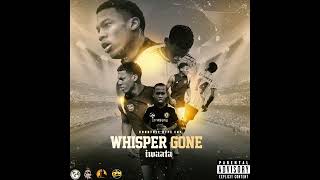 IWaata - Whisper [Gone Mi Gone] 🇯🇲🇬🇧Official Audio | Countree Hype