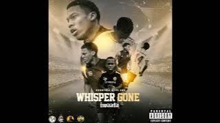 Countree Hype | IWaata - Whisper [Gone Mi Gone]  Audio