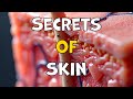 Skin: Your Body's Shield