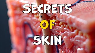 Skin: Your Body's Shield