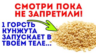 Редкий доктор знает, что настоящая роль кунжута - это запуск этих целительных процессов в нашем...