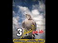 اقوء ثلاث نصيح خذ العبرة من الصقر قوه