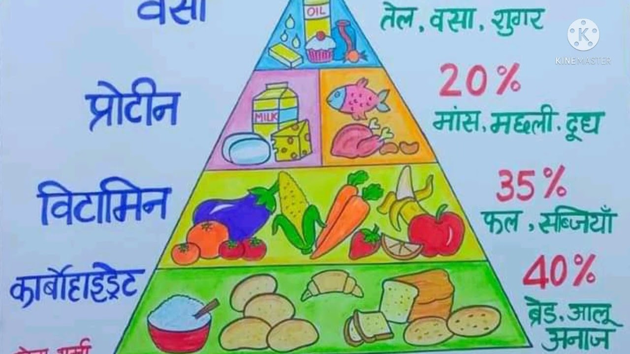 सतलन भजन क चरट क चतर Drawing बनन सख How to Draw Balance diet  Chart  YouTube