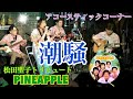 潮騒『松田聖子 夢で逢えたら』エンディング曲 アコースティックコーナー🎹 松田聖子トリビュートバンドPINEAPPLE🍍