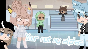 If I was in your not my alpha 👌