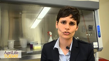 Listeria biosensor chip