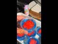 The Ultimate Memorial Day Treat 💥 #memorialdayweekend #redwhiteandblue #partyrecipes