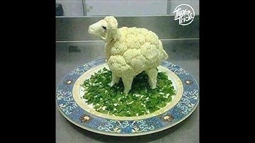 FunRun 2:  SnakeEy3s - Thorny Scrub Map Training Video v1 0