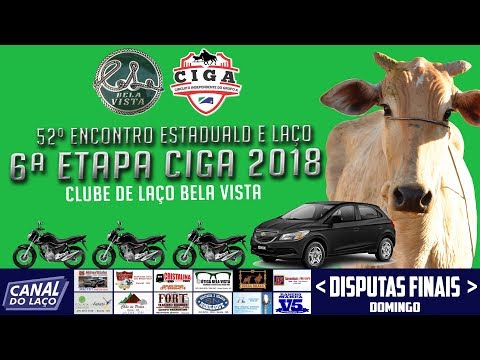 AO VIVO 52ª Encontro Estadual de Clubes de Laço - Clube de Laço Bela Vista total war shogun 2