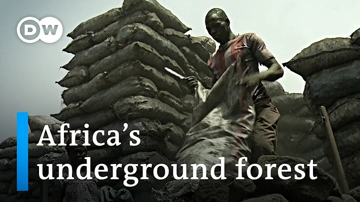 Africa's underground forest | Global Ideas - DayDayNews