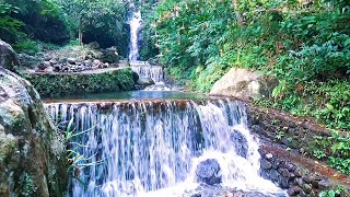Relaxing River Sleep Aid | Gentle Stream Flow and Soothing Water Ambience for Meditation Healing