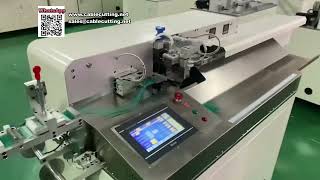Fully Automatic Double Head Wire Stripping and Tinning Machine for Multi Sizes