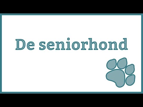 Video: Aanraakschermen Voor Oudere Honden: Kunnen Ze Helpen?