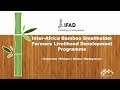 Inter africa bamboo smallholder farmers livelihood development programme  ifad