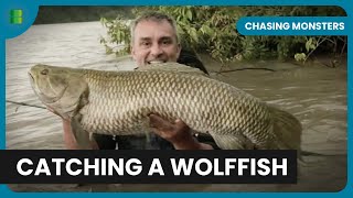 Fishing Among Predators - Chasing Monsters - Fishing Show
