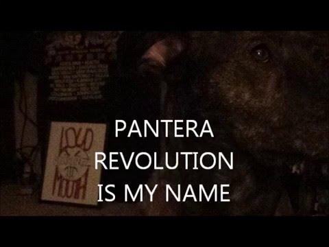 PANTERA..REVOLUTION IS MY NAME