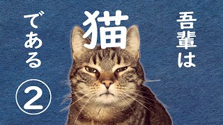 【朗読】吾輩は猫である(2)夏目漱石