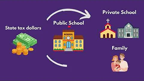 Have You Heard About School Vouchers ?