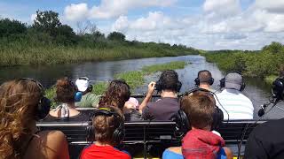 Midway airboat tour